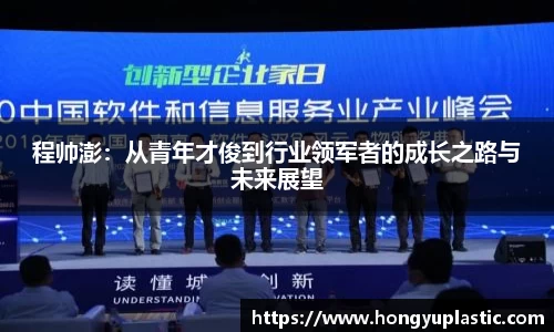 程帅澎：从青年才俊到行业领军者的成长之路与未来展望